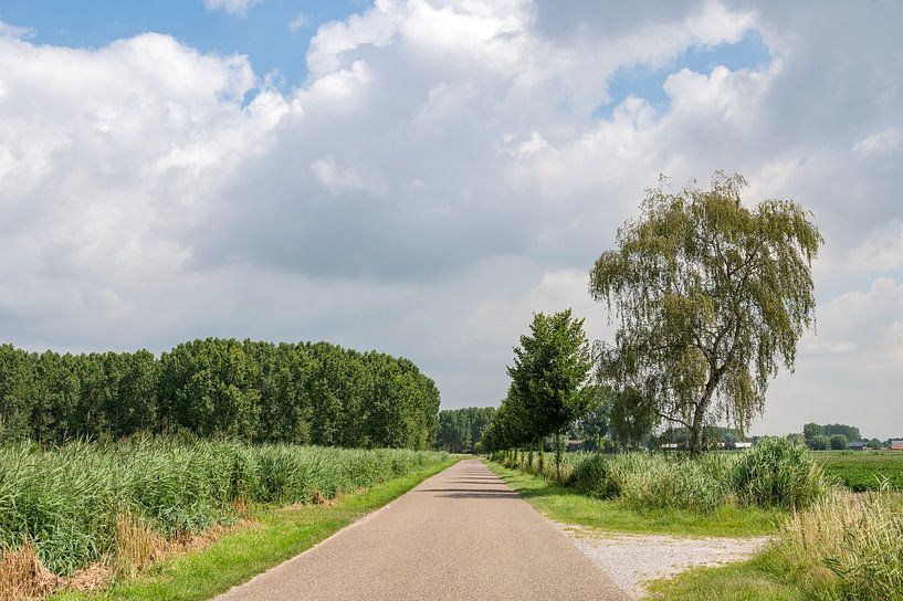 Niederlande auf der linken Seite, Belgien auf der rechten Seite von Richard Wareham