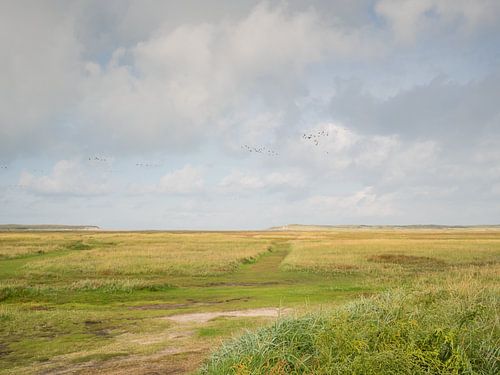 Texel, De slufter