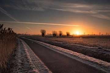 Prachtige zonsopkomst aan het water met Knotwilgen van Rick van de Kraats