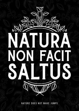 Natura Non Facit Saltus - Nature does not make jumps by Pixelbull Design