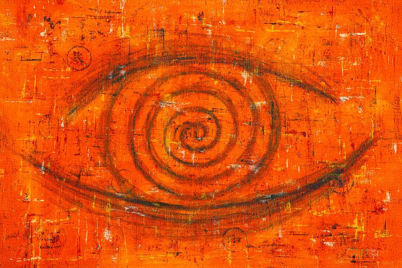 Oog van Stephan Zaun