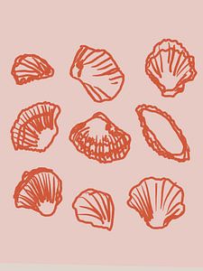 Shell Secrets No 1