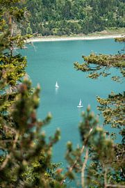 Sailing boats at the Plansee by Leo Schindzielorz