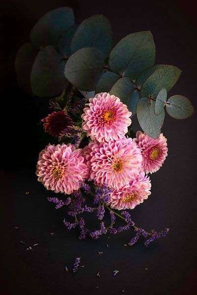 Dahlias roses sur fond sombre par Els F.