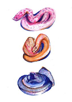 Trois serpents colorés sur Dominique Bonne