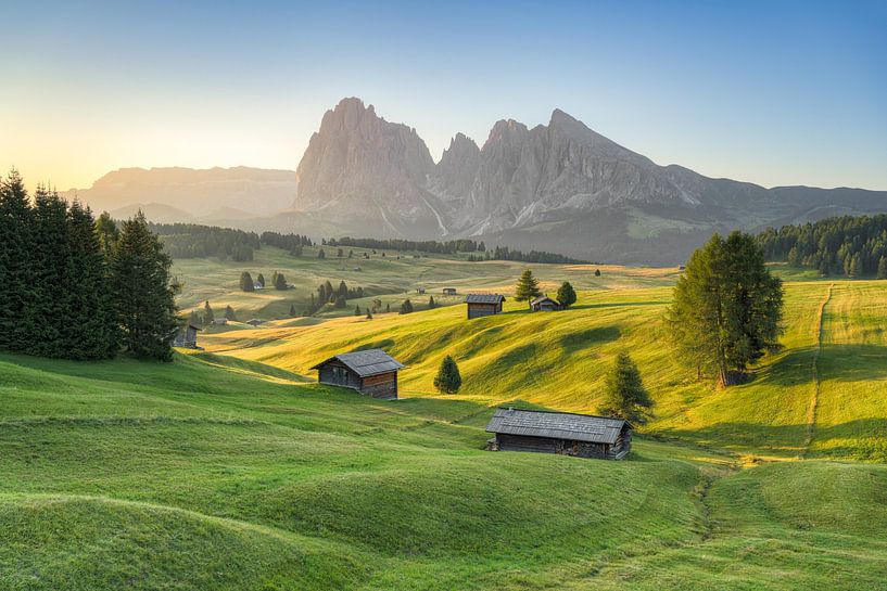 Sommermorgen auf der Seiser Alm von Michael Valjak