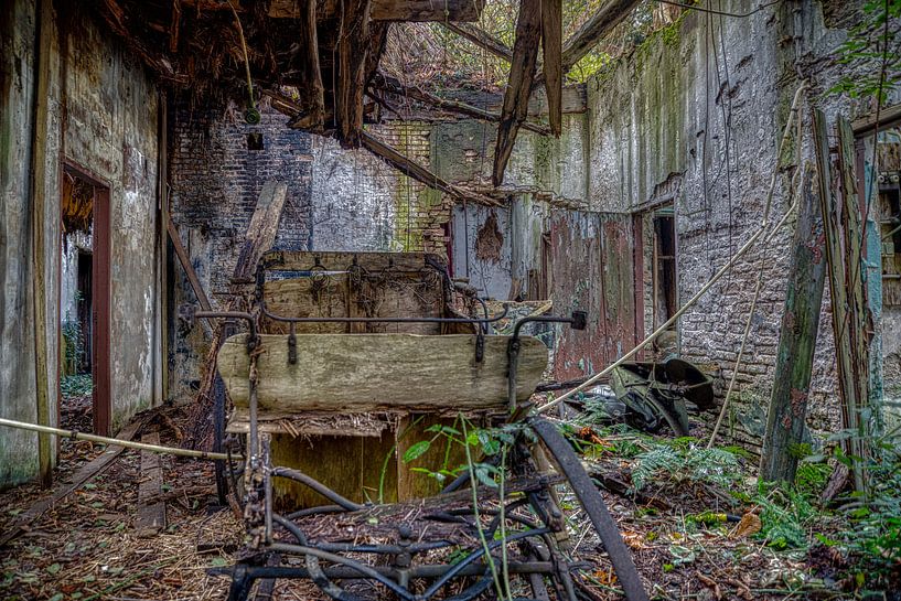 coach by michel nolsen