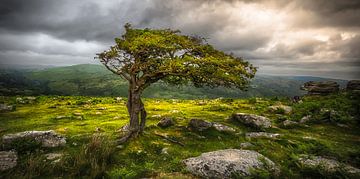 Dartmoor National Park van Karel Ton