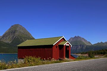 Rode schuur aan een van de fjorden in Noorwegen van Coos Photography