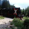 Stoomtrein in het harz van Veluws