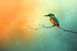 IJsvogel in de kleurrijke ochtend mist van But First Framing