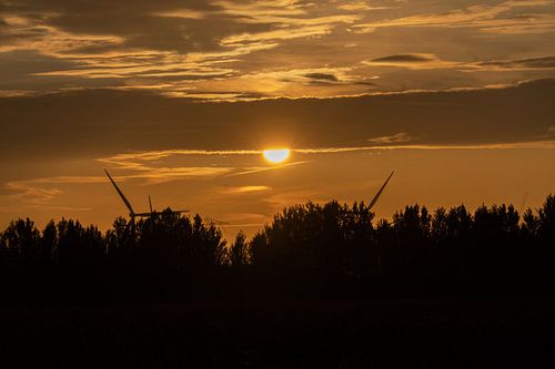 evening sun