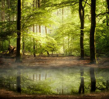 Je ne peux pas attendre