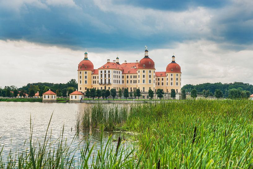 Moritzburg Castle, Saxony by Gunter Kirsch