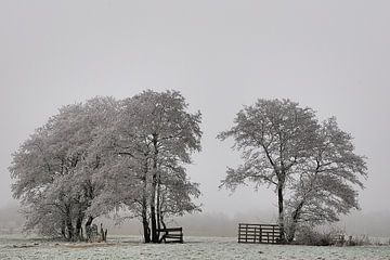 Winterlandschap #2 van Ruud de Soet