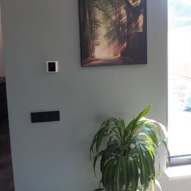 Customer photo: Running the ladder by Rob Visser, on canvas