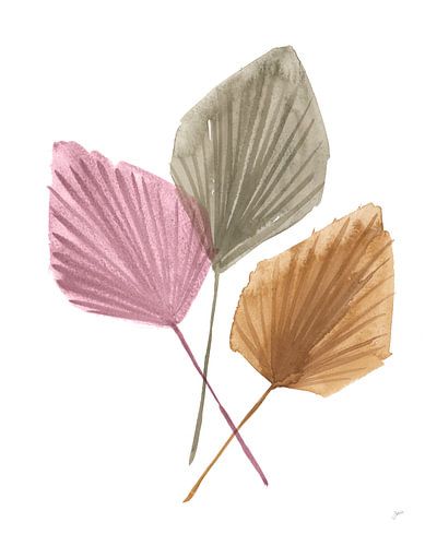 Fan Palms, Karyn Panganiban