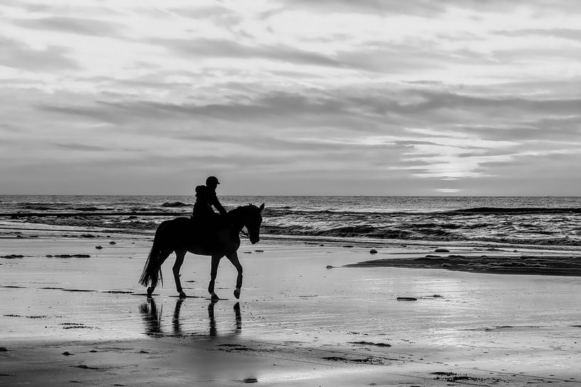 paardrijden op het strand van eric van der eijk