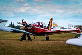 RED DEVILS von Younes Deraedt