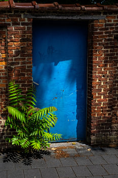 Blaue Tür mit Farn