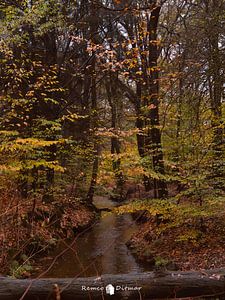 L'autre danse des feuilles et de l'eau