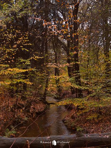 De andere Dans van Bladeren en Water