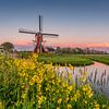 Lagenwaardse Molen, Koudekerk aan den Rijn, by Allkindsofscapes