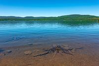 Timothy Lake