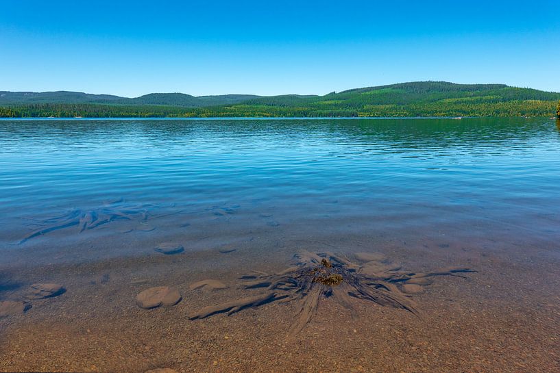 Timothy Lake by Tashina van Zwam