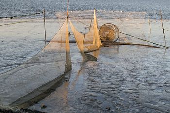 Visnet op het drooggevallen wad bij Lauwersoog