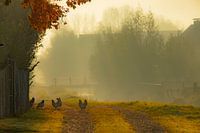 Landschaft 'Morgengrauen