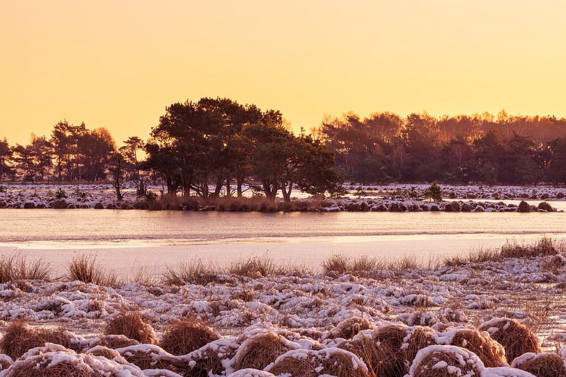 Strabrechtse Heide 232 van Deshamer