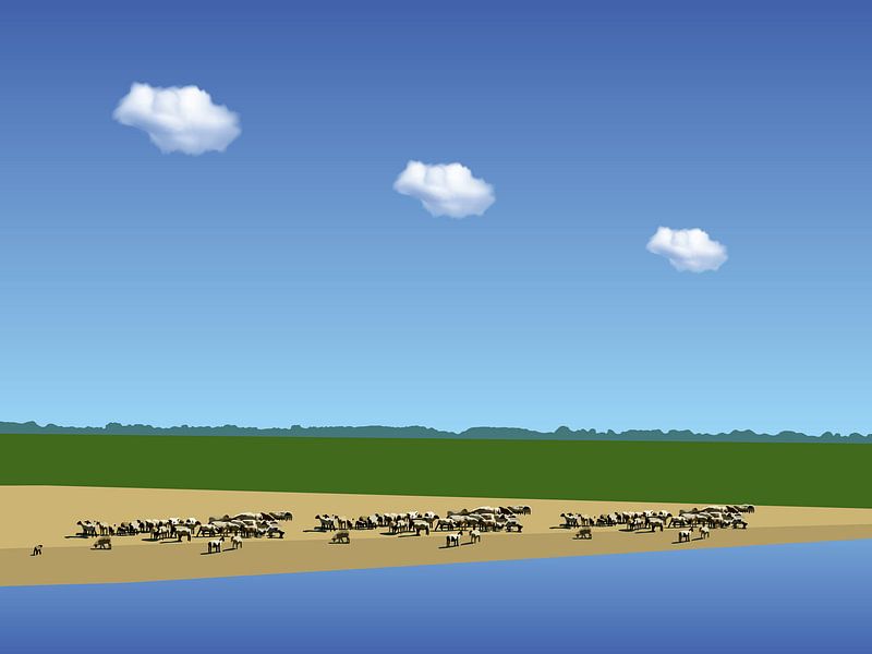 275. Les Moutons de la baie de Somme by Domstad Rudie