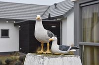 Möwe Statue