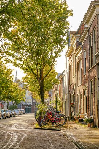 Leiden op zijn mooist!