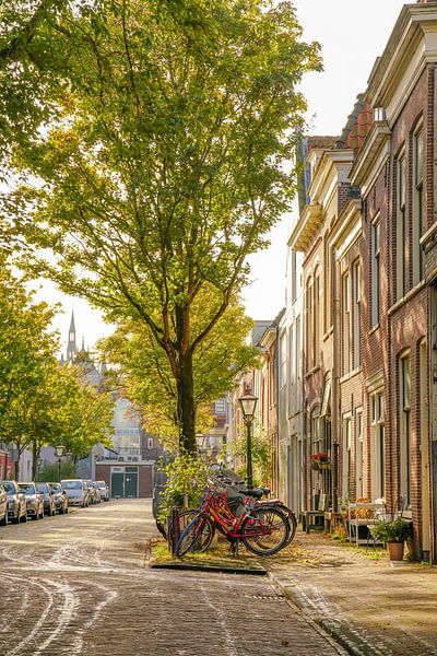 Leiden op zijn mooist! by Dirk van Egmond