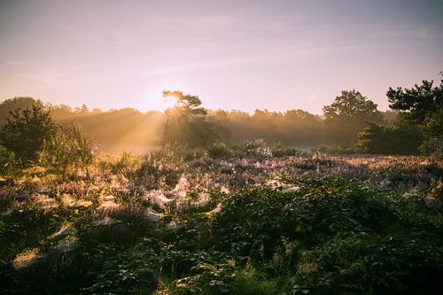 Lever du soleil Garderen