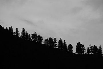 Silhouet van een rij bomen op een berghelling van mekke
