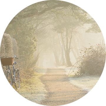 De fiets van een vroege vogel