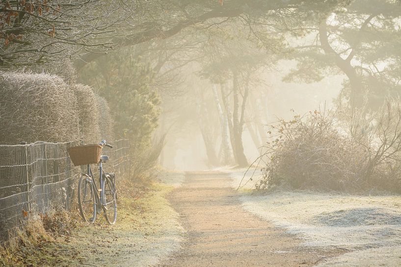 Le vélo d'un lève-tôt par Michel Geluk