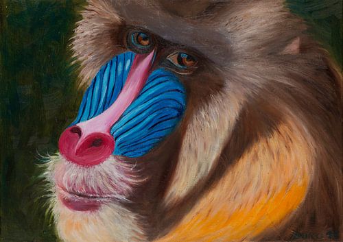 Mandrill-Thrill-Porträt