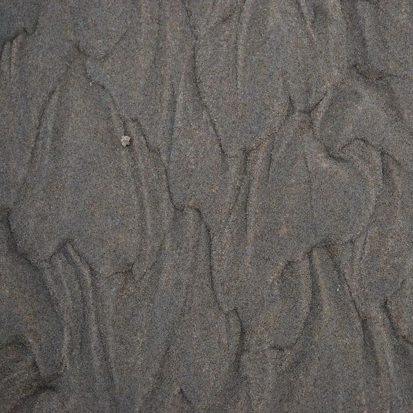 Vierkant zand van Jetty Boterhoek