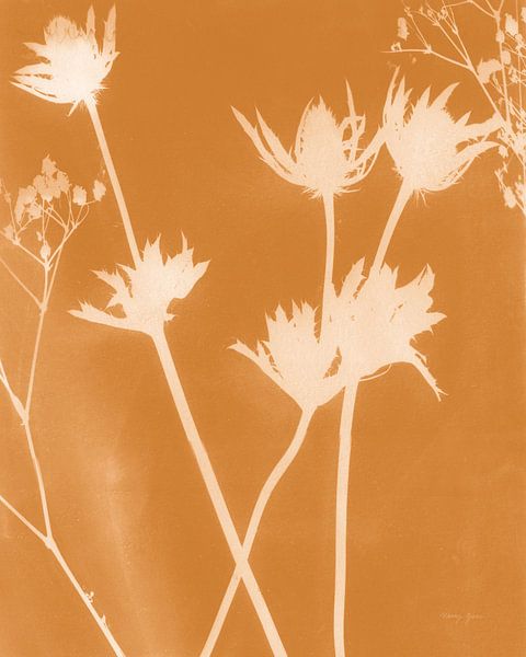 Enchanted Fall Cyanotype I, Nancy Green by Wild Apple