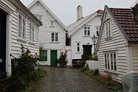 White houses by Seli