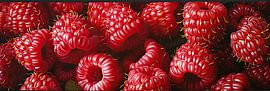 Painting Raspberries