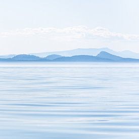 Rustiek Vancouver Island in blauwtinten van Marco Schep