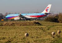 Avions dans le paysage néerlandais à Schiphol