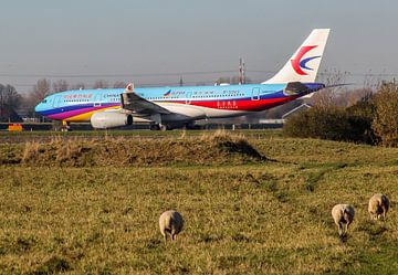 Vliegtuig in het Nederlandse landschap op Schiphol van Robin Smeets