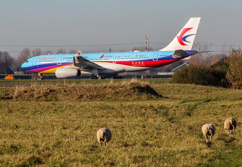 Vliegtuig in het Nederlandse landschap op Schiphol van Robin Smeets