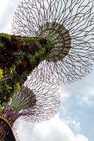 Architecture moderne dans le jardin botanique de Singapour.